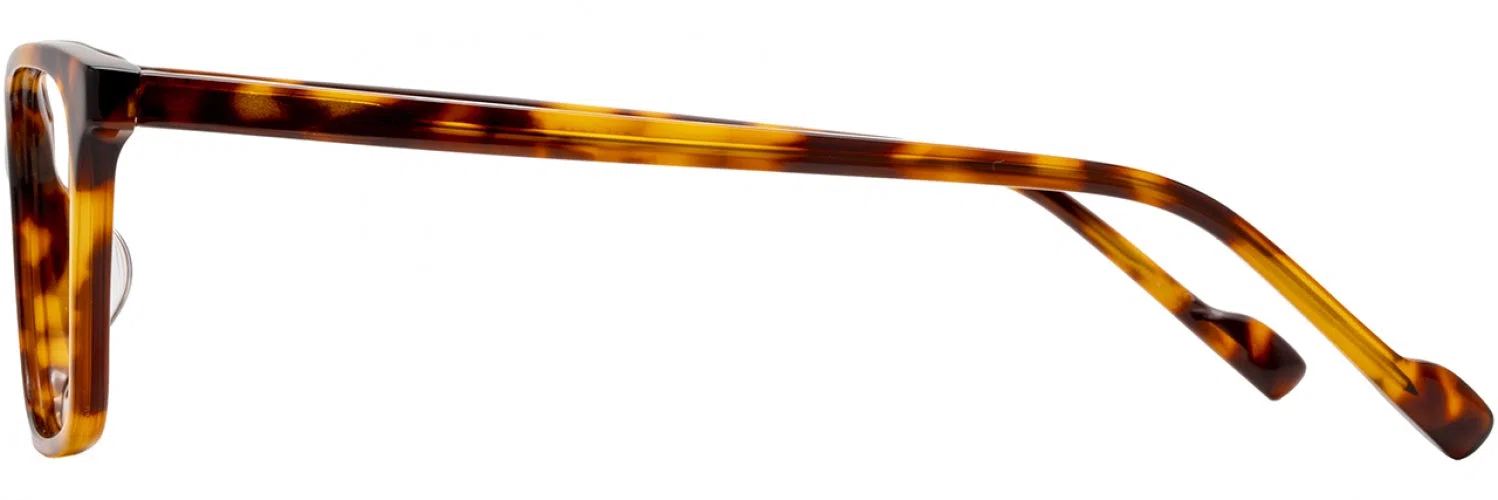 Scott Harris SH1018 Eyeglasses - view 5